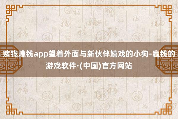 赌钱赚钱app望着外面与新伙伴嬉戏的小狗-赢钱的游戏软件·(中国)官方网站