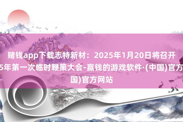 赌钱app下载志特新材：2025年1月20日将召开2025年第一次临时鞭策大会-赢钱的游戏软件·(中国)官方网站