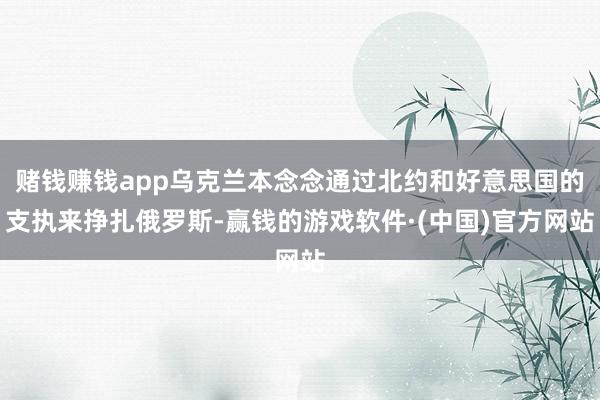 赌钱赚钱app乌克兰本念念通过北约和好意思国的支执来挣扎俄罗斯-赢钱的游戏软件·(中国)官方网站