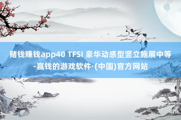 赌钱赚钱app40 TFSI 豪华动感型竖立施展中等-赢钱的游戏软件·(中国)官方网站