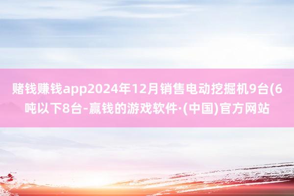 赌钱赚钱app2024年12月销售电动挖掘机9台(6吨以下8台-赢钱的游戏软件·(中国)官方网站